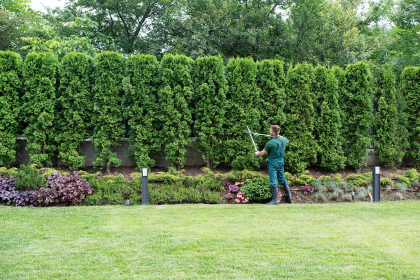 Leaf Removal in Valhalla, NY